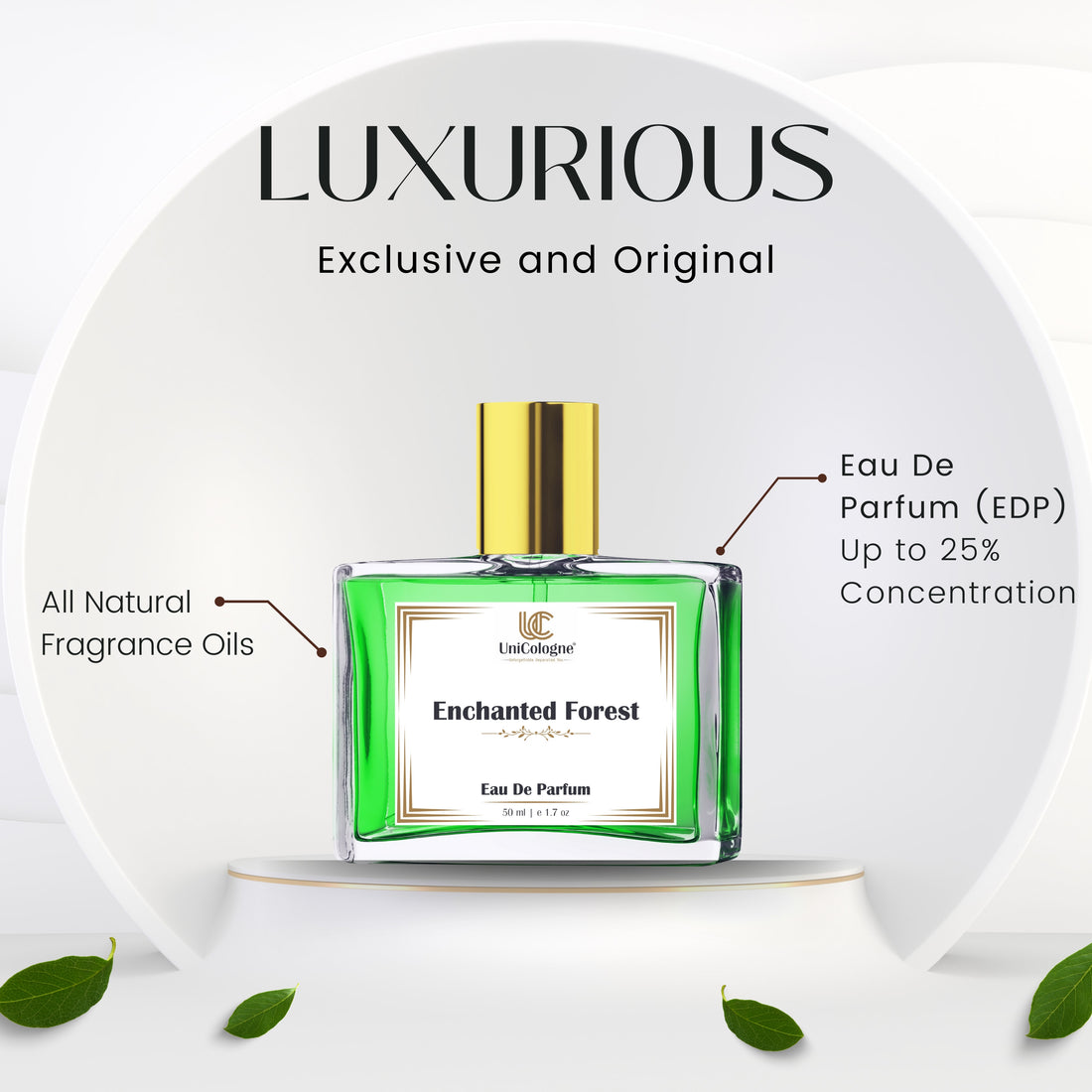 Enchanted Forest Premium Unisex Perfume