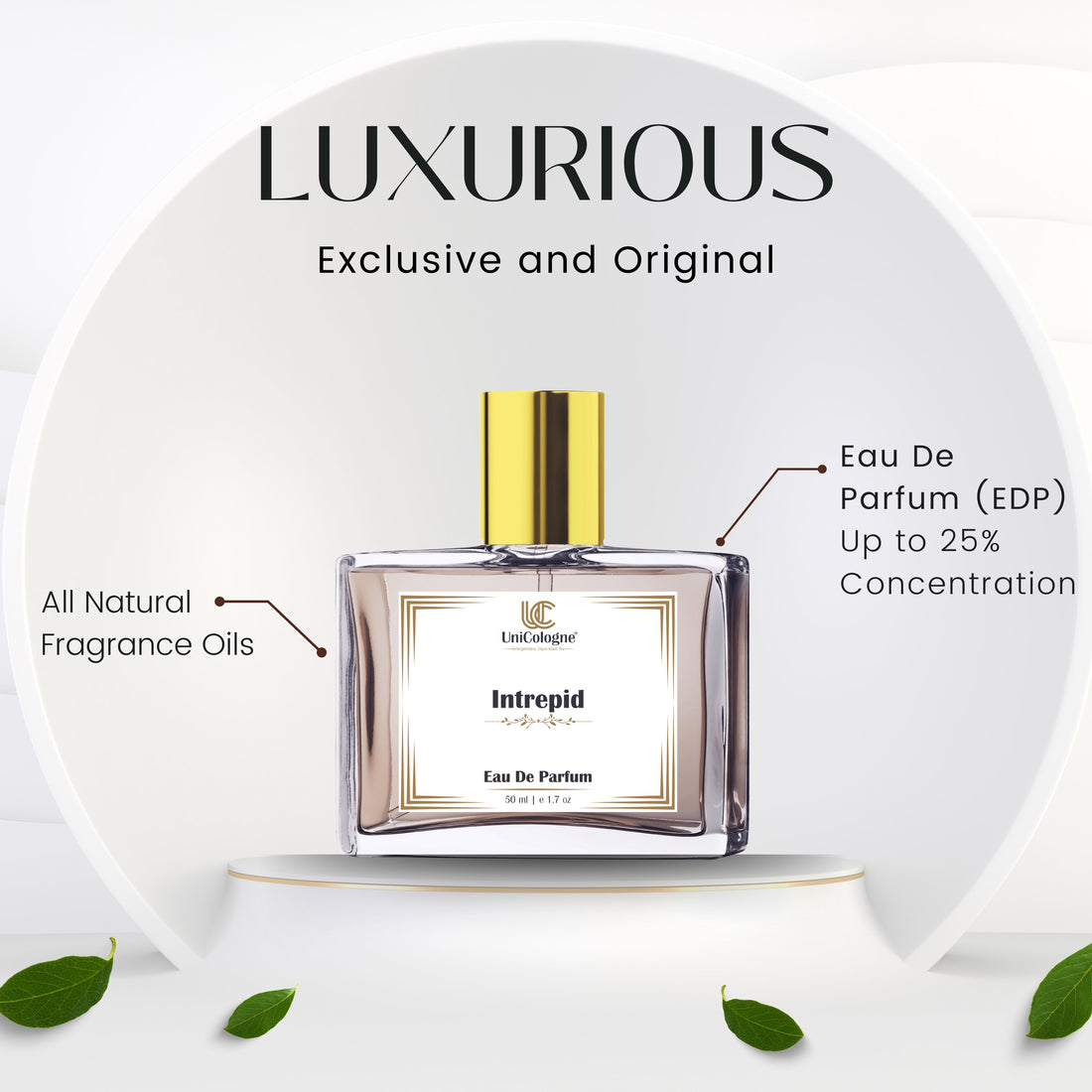 Intrepid Luxury Perfume For Men