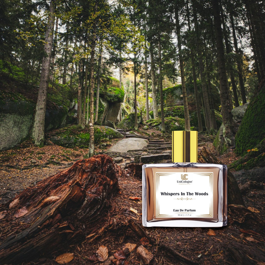 Whispers in the Woods Perfume For Men