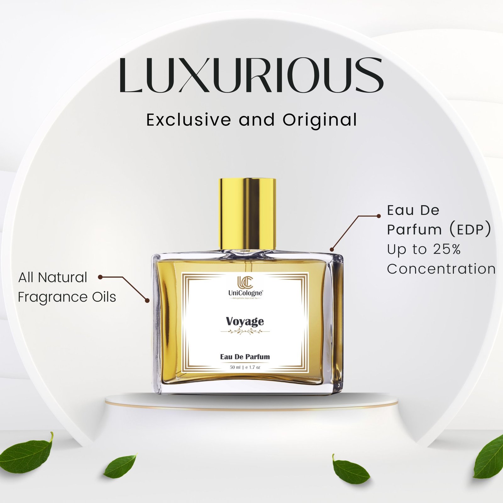 Voyage Luxurious Perfume for Men