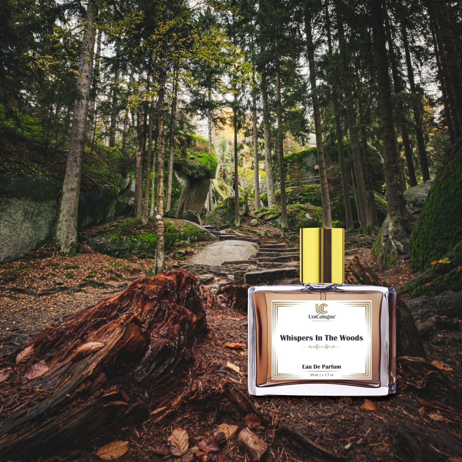 Whispers In The Woods – Affordable Perfume